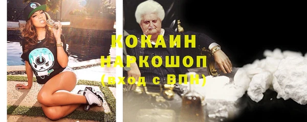 индика Абаза
