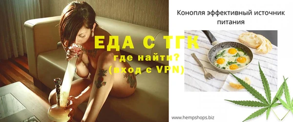 индика Абаза