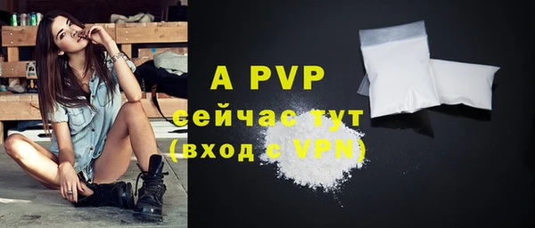 индика Абаза