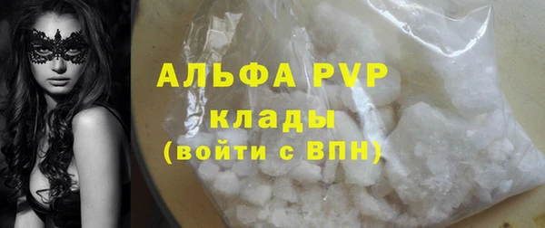 индика Абаза