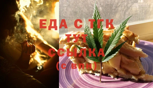 индика Абаза