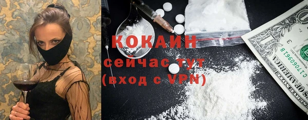 индика Абаза