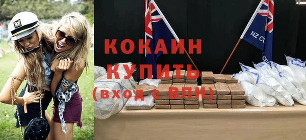 индика Абаза